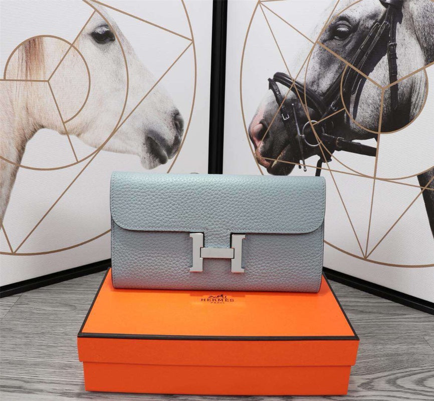 Louis Vuitton Constance silver bag – front view