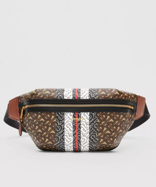 Burberry Medium Monogram Stripe E-Canvas Bum Bag Brown | Studio Nafay
