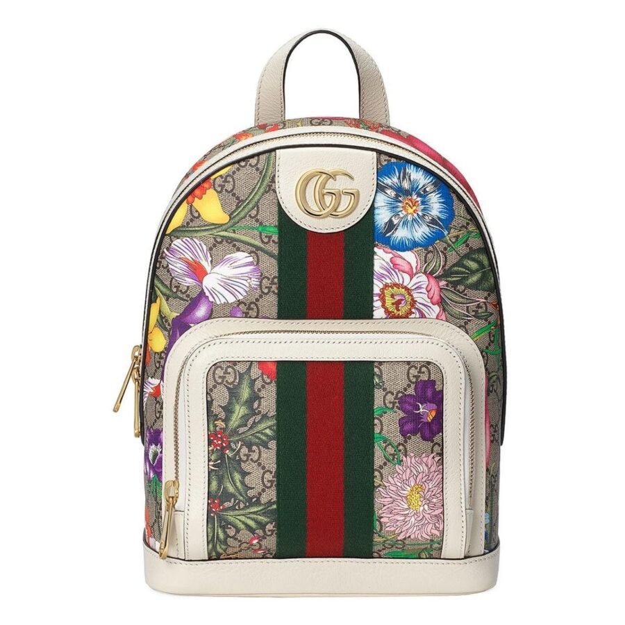 Gucci Ophidia bag – front view