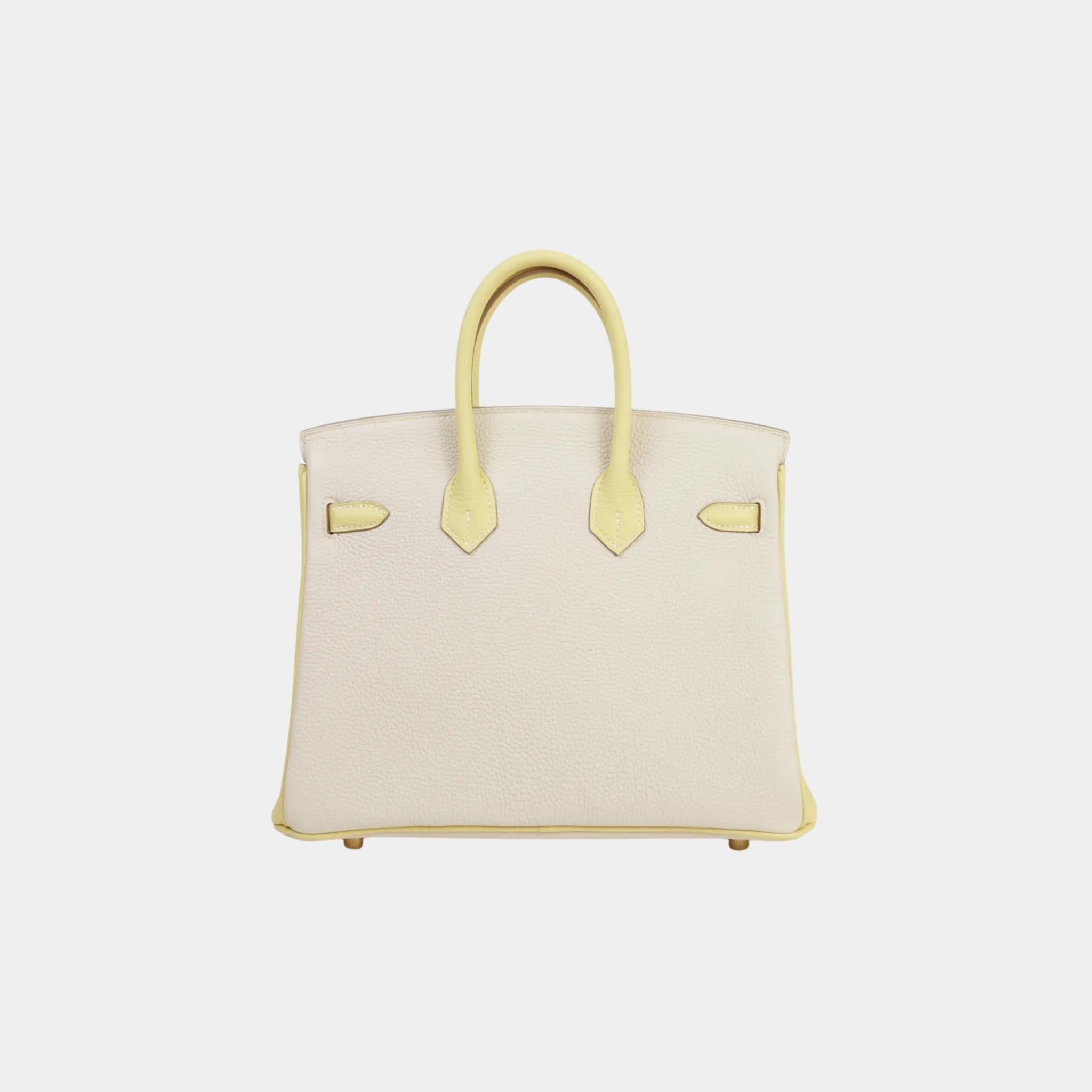 Hermes Birkin bag – front view
